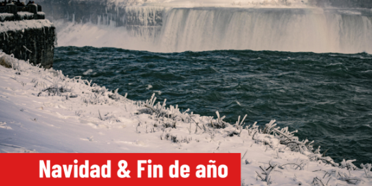 Exótico Invierno  Básico (navidad & fin de año)  2025 (GT)