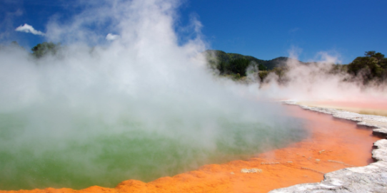 Nueva Zelanda Clásica 2025 -2026 (PP) 