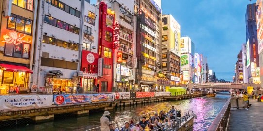 Mikatour Ninja 2026 – 2027  (IB) 