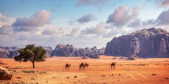 Jordania Fascinante con desierto y mar muerto (JE) 2026- 2027