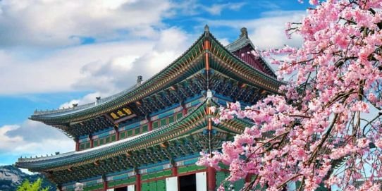 Mikatour Ninja 2026 – 2027  (IB) 