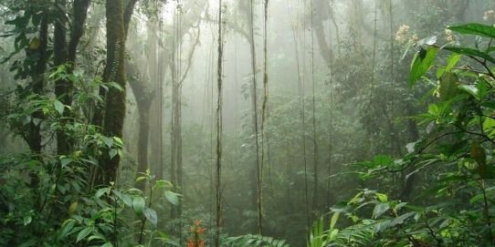 Costa Rica Sensacional 2026 