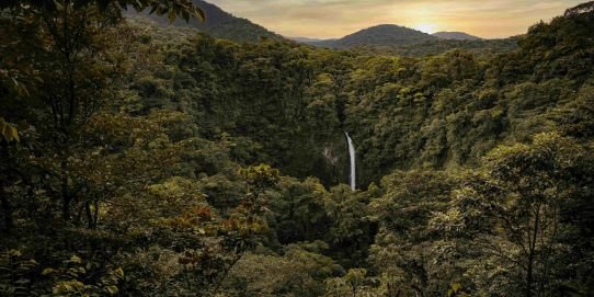 Selvas, playas y volcanes 2026 