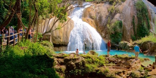 Chiapas Economy 2026 