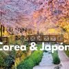 GUÍA PRÁCTICA PARA VIAJAR A COREA Y JAPÓN 