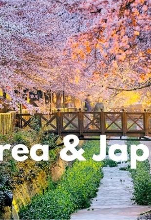 GUÍA PRÁCTICA PARA VIAJAR A COREA Y JAPÓN 