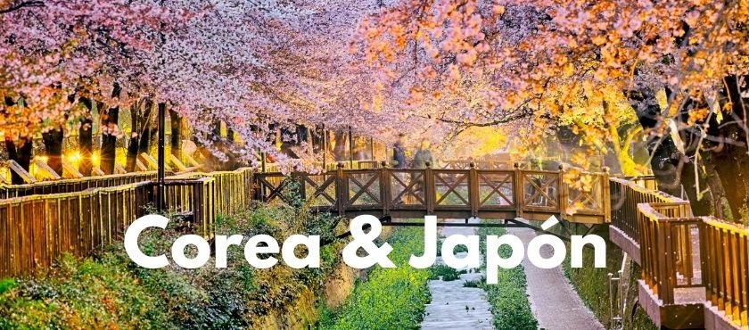 GUÍA PRÁCTICA PARA VIAJAR A COREA Y JAPÓN 