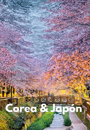 GUÍA PRÁCTICA PARA VIAJAR A COREA Y JAPÓN 