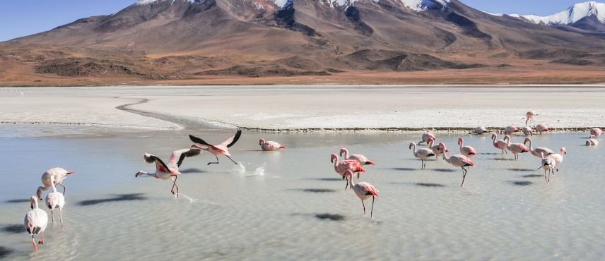 Destinos Mágicos De Bolivia 2026