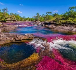  TEMPORADA CAÑO CRISTALES