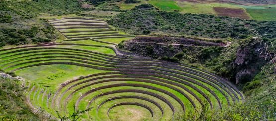 ¡PERÚ EN SEMANA DE RECESO!