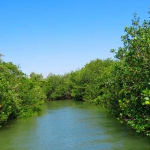 Tumbes de Playas y manglares
