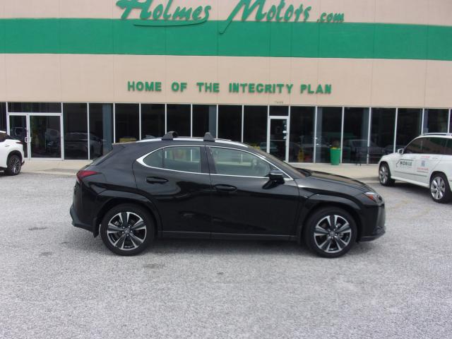 2024 Lexus UX 300h 250h Premium's photo