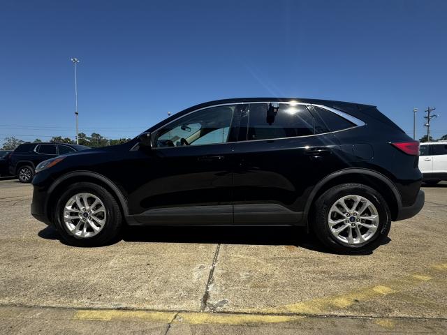 2020 Ford Escape Automatic 8-Spd - Image 7