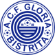 Gloria Bistrita Crest