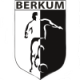 VV Berkum Crest