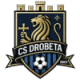 Turnu Severin Crest