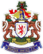 Marske United Crest