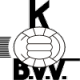 Bocholter VV Crest