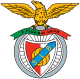 Benfica U-19 Crest