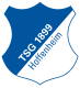 Hoffenheim U-19 Crest