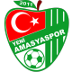 Yeni Amasyaspor Crest