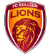 Bulleen Lions Crest