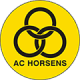 Horsens-2 Crest