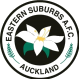 Eastern Suburbs FC Crest