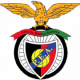 Penya Encarnada Crest