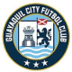Guayaquil City Crest