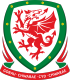 Wales U-19 W Crest