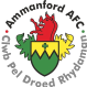 Ammanford Crest