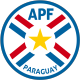 Paraguay W Crest