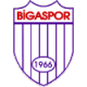 Bigaspor Crest