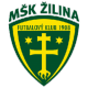 Zilina U-19 Crest