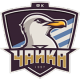 FK Chayka Crest