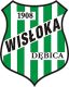 Wisloka Debica Crest