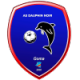 Dauphins Noirs Crest