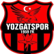 Yozgatspor Crest