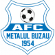 Metalul Buzau Crest