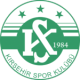 Kirsehirspor Crest