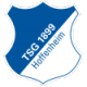 Hoffenheim-2 W Crest