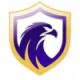 Falcon U-20 Crest
