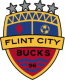 Flint City Crest