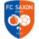 Saxon-Sports Crest