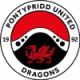 Pontypridd Town W Crest