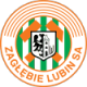 Zaglebie L U-19 Crest