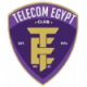 Telecom Egypt Crest