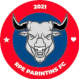 Parintins Crest